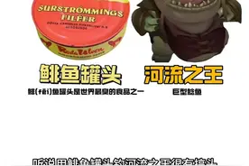 臭鱼野钓鲶鱼！鲱鱼罐头有搞头吗？ #钓鱼人就是这么疯狂 #臭鱼钓鲶鱼 #路亚新手入门教程 #钓鱼技巧 #绫罗pe线视频封面