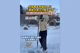 1月16日（采访），黑龙江伊春。夜航特别关注：回乡创业青年。（一）空姐两年养猪无人问，一朝被冰镩子扎脚天下知，月薪过万抵不过父女情深。@🐑杨西西视频封面
