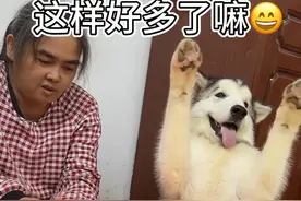 重庆的小狗现状，一夜入冬太真实了🥶 #萌宠日常记录 #萌宠出道计划 @抖音短视频视频封面