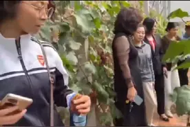 葡萄🍇作为秋天的时令水果，那么我们如何挑选好的葡萄呢