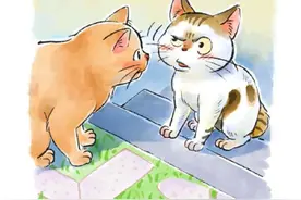 猫界的网恋奔现失败现场～#猫咪 #看一遍笑一遍 #漫画 （素材来自@一只小怪兽 ）视频封面