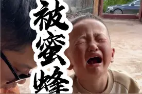 小家伙被蜜蜂蛰了，疼的哇哇叫#农村生活 #被蜜蜂蛰了 #原谅我不厚道的笑了视频封面