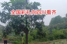 全国彩礼乡四川看齐，在四川男方给彩礼，女方家要回礼的视频封面