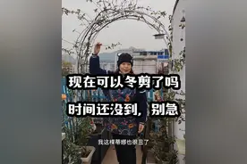 冬剪最佳的时间，是冬天最冷的稳定时间段，如果天气不稳定的话，先别着急，否则的明年的花量少一半，按捺住骚动的心，控制住颤抖的手，再等等😎#冬剪 #月季修剪 #月季冬剪视频封面