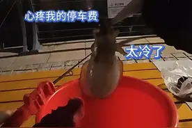 一边钓鱼一边心疼我的停车费！！ #海钓#墨鱼#趴地虎 #爱生活爱钓鱼视频封面