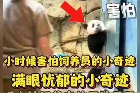 小时候害怕饲养员的小奇迹回国后简直无法无天了，奶爸太宠了视频封面