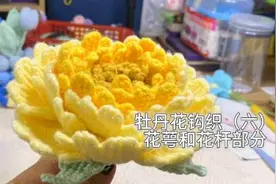 牡丹花钩织教程（6）总算把教程做完了