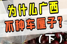 为什么我们偏偏要进口智利的车厘子？ #科技周周 #科普 #水果 #车厘子视频封面