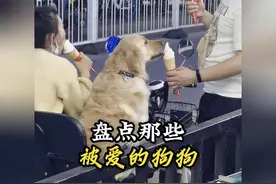 “虽然小狗不会说话，但小狗知道你爱它”#世界上不能没有小狗