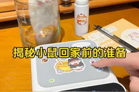 揭秘！！小鼠回家前的24小时都做了什么？ #仓鼠 #金丝熊视频封面
