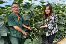 农村暴利种植一亩地竟然能产8000斤年收益15万市场供不应求视频封面