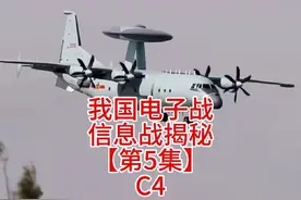 C4神经网络系统#听风的蚕 #爱国视频封面