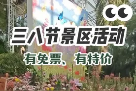 沈阳三八妇女节这些景区有活动~有免票，有专属票，快来看看吧~#沈阳三八节活动 #沈阳三八节景区活动 #38妇女节就来这里吧 #沈阳世博园 #千山视频封面