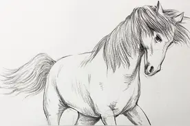 学会画这匹马，奇怪的知识又增加了……#2024抖音美院毕业季视频封面