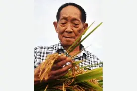 【深切缅怀！今天是#袁隆平诞辰94周年 纪念日】“一粒粮食能够救一个国家，也可以绊倒一个国家。”永远记得这位让中国人端牢“饭碗”的老人。珍惜每一粒粮食，就是对袁老最好的怀念！