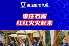 枣庄石榴红红火火起来 #2023石榴产业发展大会 #枣庄 #这就是枣庄 #石榴视频封面