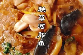 河豚鱼，江苏著名美食，清明节尝鲜活动，大幕拉开，大厨分享做法视频封面