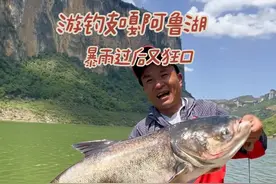 游钓支嘎阿鲁湖，暴雨过后鲢鳙又狂口了#原来钓鱼才是抖音运动顶流 #钓鱼的乐趣只有钓鱼人懂 #钓鱼人就是这么疯狂 #真实户外视频封面