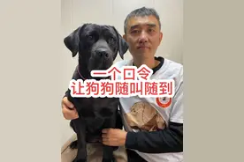 狗狗跑出去叫不回来怎么办？ 让狗狗随叫随到的两个好办法。狗狗撒出去叫不回来怎么办？#狗狗 #新手养狗 #养犬知识 #狗狗的日常 #狗狗的心思都写在脸上了
