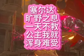 塞尔达旷野之息一天不救公主我就浑身难受#林克 #塞尔达视频封面
