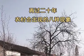 一、村子里的年轻人没有了，剩下的都是六七十岁、七八十岁的老大爷老太婆。 二、地没人种了，所有的地都包给了几位种粮大户，想种地的老人干不动了。 三、从农村走出去的年轻人绝大部分都不回来了。 四、农村的空房子越来越多，房子没人住了，农村的房子想卖卖不出去了。 五、从农村走出去的年轻人一大部分人不会回来给自己的爷爷奶奶上坟烧纸了。 六、以前过春节挨家挨户拜年的这个习俗以后也要消亡了。 七、农村的孩子以后没有三叔二大爷七大姑八大姨了。 八、以后的农村人身份证上的户籍是农村，但都是城里人…#乡愁记忆 #农村生活 #农村现象 #老房子的回忆视频封面