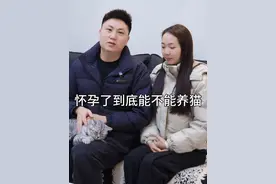 怀孕了到底能不能养猫，带猫去做相关检查，结果出来大家都放心了#怀孕 #孕妇可以养猫吗视频封面