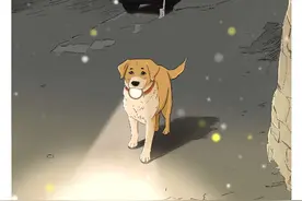 主人下班，有一段路没有路灯，很黑，金毛“大暖男”拿着电筒去迎接他，一天的疲惫都被扫清了，身心也变得暖洋洋的。#画一个故事 #狗狗的心思都写在脸上了 #治愈系 #抖音插画大赛 #世界不能没有小狗