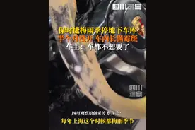 梅雨季变“霉”雨季？7月3日，上海一辆#保时捷梅雨季停地库半月未开发霉 车主笑称“车都不想要了”，目前已送洗车店清洗。视频封面