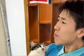 猫咪做绝育后会恨主人吗 #猫咪 #记录猫咪日常 #会说话的猫咪 #谁说猫猫没有表情的 #创作灵感视频封面