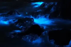 平潭蓝眼泪爆发！气象专家送上追“泪”宝典，又到一年追“泪”季视频封面