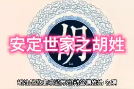 中华姓氏—安定世家之胡姓#姓氏#安定世家#胡氏家族#历史视频封面