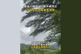 最高10级阵风+扬沙或浮尘！济南发布大风黄色预警视频封面