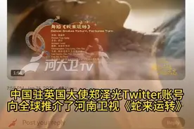《2025河南春晚》绽放海外，多家驻外使领馆、文旅等强势推介！#河南春晚视频封面