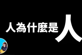 人为什么是人？#老高与小茉 #奇闻奇事 #科普一下 #冷知识视频封面