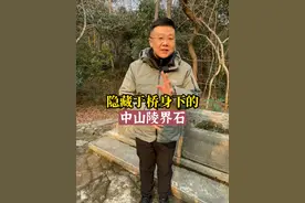隐藏于桥身下的中山陵界石#历史古迹 #南京 #中山陵 #飞哥说南京视频封面