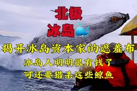 揭开冰岛资本家的遮羞布，他们明明已经很有钱了，却还要猎杀鲸鱼