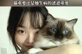 女生称养了多年的布偶猫被母亲送人，母亲回应：已经替她养了3年，猫重要还是她生病的爸爸重要？#布偶猫 #宠物 #亲人#亲情视频封面