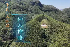 藤县韦氏大水顶，高山吐大坪仙人仰睡 #热点小助手 #种德堂视频封面