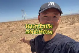 我在甘肃找到了五年前在支付宝种的树，支付宝没有骗我们视频封面