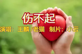 《伤不起》是由老猫作曲，化石作词，王麟演唱的歌曲视频封面