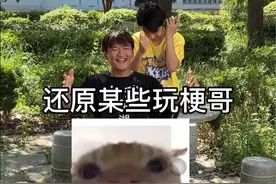 还原某些玩梗哥 从阿米诺斯 到广西大师猫 我也是服了😅 #内容过于真实 #陈七爷视频封面