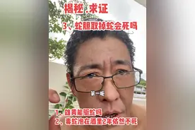 雄黄可以驱蛇吗？毒蛇泡在酒里2年还能咬死人？蛇胆取掉蛇会死吗#蛇类科普