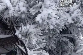2月21日，浙江绍兴又下大雪了。一瞬间以为来到了雪乡，被雪景震撼到了。#带你看雪景 #一场大雪美如画 #绍兴 #又是一场大雪 #浙江多地下雪了视频封面