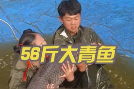 56斤的青鱼到底有多大？#黑坑青鱼 #大青鱼 #巨物视频封面