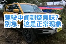 #震惊 新车驾驶途中突然闻到烧焦味这是怎么回事？#方程豹豹5