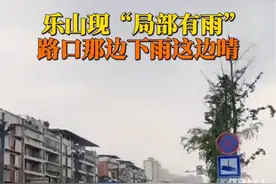 真·局部有雨！5月25日，四川乐山。这边下雨那边晴，开车如过水帘洞。