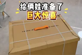 大宝一直想要养狗，如今愿望实现了！ #家庭日常 #机器狗视频封面