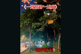 树叶子黄，花开花又落，一年年都过去，还走不出个我！#又到听一叶知秋的季节了 #音乐