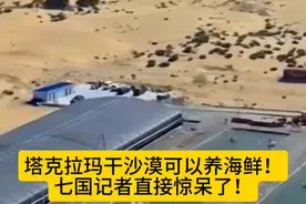 塔克拉玛干沙漠可以养海鲜！七国记者直接惊呆了！沙漠盐碱地通过一定的改造，就可以成为天然的类似海洋的大水池子，然后可以养殖三文鱼，石斑鱼及其他海鲜！这个在抖音里面都能看到当地的养殖户，已经把养大的海鲜在周边市场上进行贩卖，形成完善的产业链！这些都是让外国记者为之惊呆的发明创造，老外感觉不可思议！中国人勇于创新，把不可能变为可能！#超级工程 #中国力量视频封面