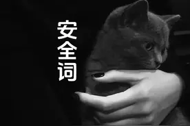 安全词的作用和重要性#sm #小众文化#安全词#小狗日记 #科普视频封面